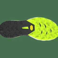 Alpine DNA 2 Laufschuhe Unisex