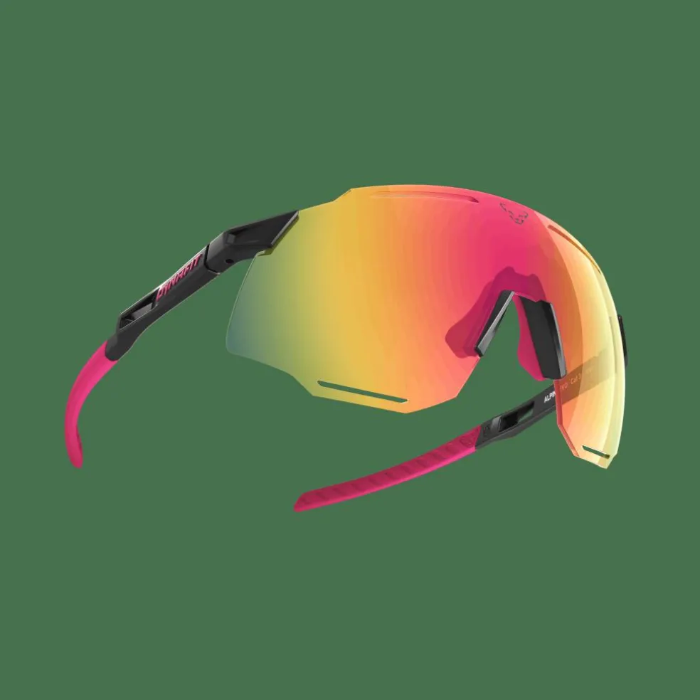 Alpine Evo Sonnenbrille Unisex