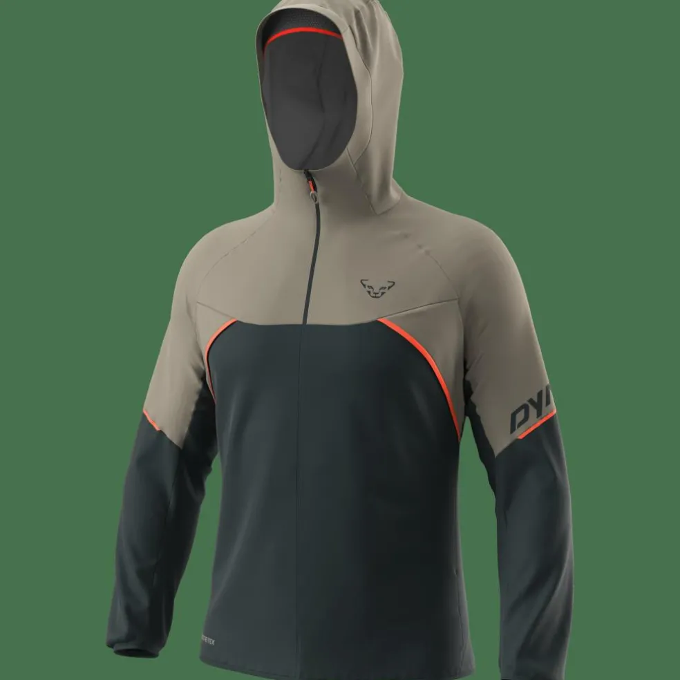 Alpine GORE-TEX Jacke Herren