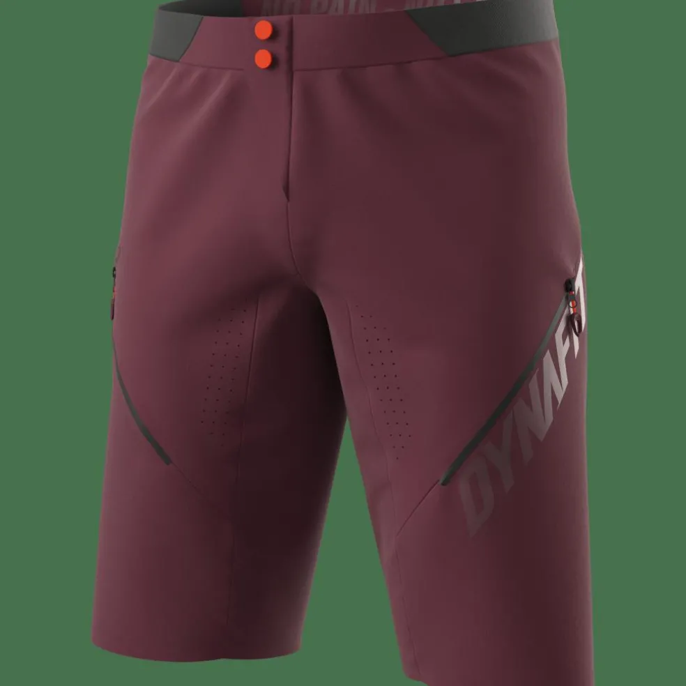 Ride Light Dynastretch Shorts Herren