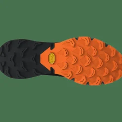 Ultra 100 GTX Laufschuh Herren